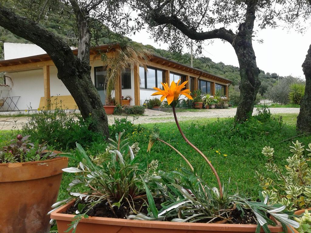 Agriturismo Locoe Oliena Exterior foto